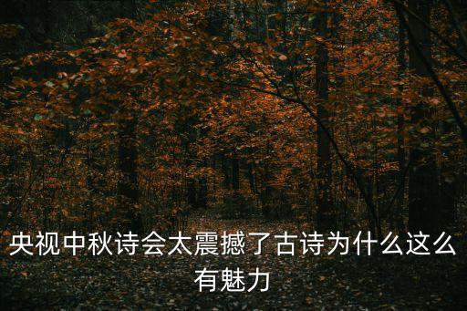 中秋詩會，央視中秋詩會太震撼了古詩為什么這么有魅力
