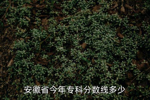 安徽省今年專科分數線多少