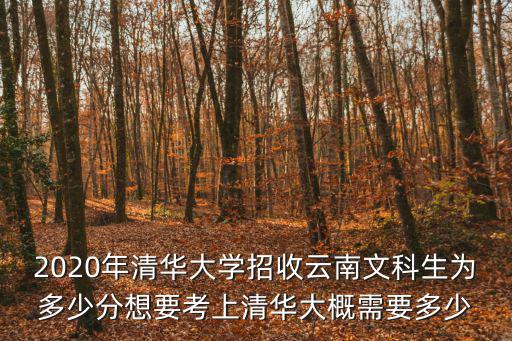 2020年清華大學招收云南文科生為多少分想要考上清華大概需要多少