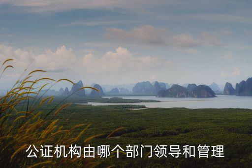 公證機(jī)構(gòu)，我國公證機(jī)構(gòu)分為哪幾級