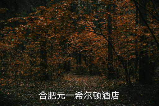 元一希爾頓酒店，上海虹橋元一希爾頓酒店怎么樣