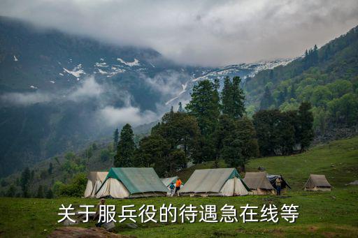 關于服兵役的待遇急在線等