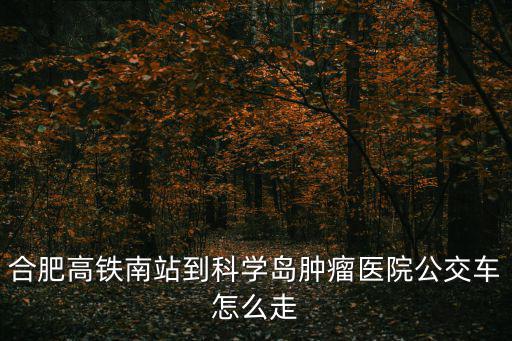 合肥高鐵南站到科學島腫瘤醫院公交車怎么走