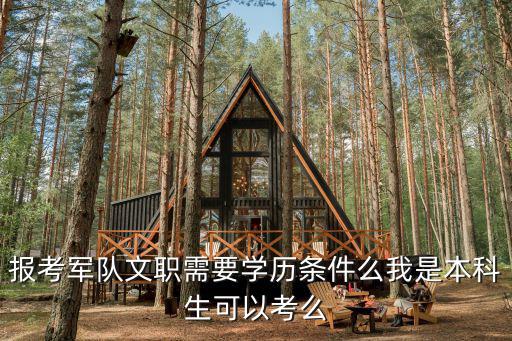 報考軍隊文職需要學歷條件么我是本科生可以考么