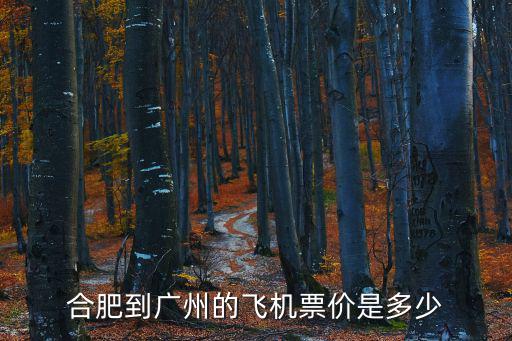 合肥到廣州飛機(jī)，合肥到廣州飛機(jī)票要多少錢