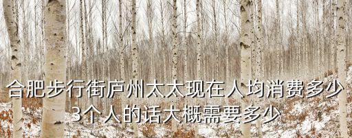 合肥步行街廬州太太現在人均消費多少3個人的話大概需要多少