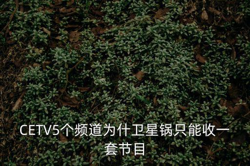 CETV5個頻道為什衛星鍋只能收一套節目