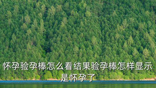 懷孕驗孕棒怎么看結果驗孕棒怎樣顯示是懷孕了