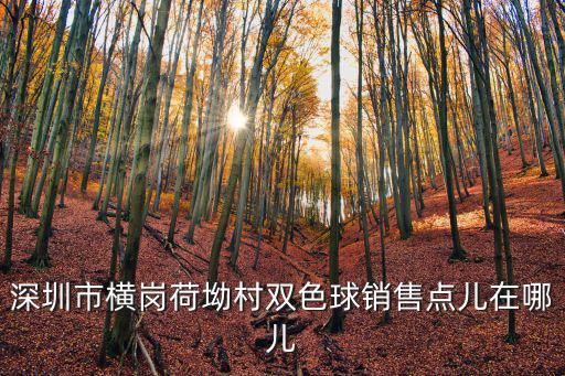 深圳市橫崗荷坳村雙色球銷售點兒在哪兒