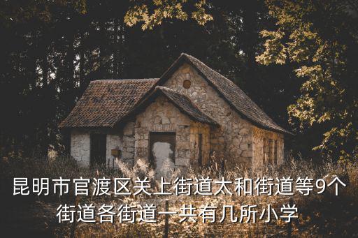 昆明市官渡區關上街道太和街道等9個街道各街道一共有幾所小學