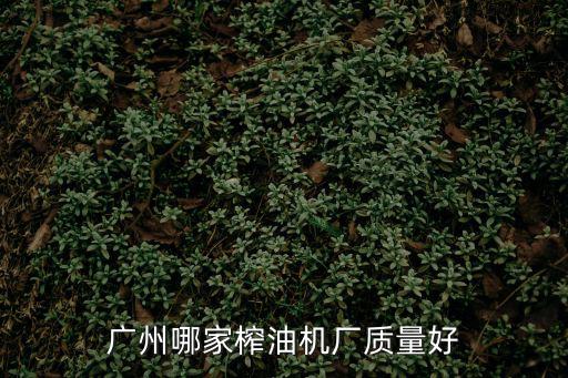 廣州哪家榨油機廠質量好