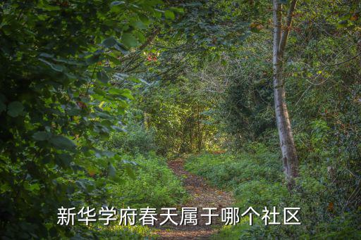 新華學(xué)府春天，合肥新華學(xué)府春天地下車庫(kù)管理混亂有許多沒有買車位的車輛長(zhǎng)期亂占亂停