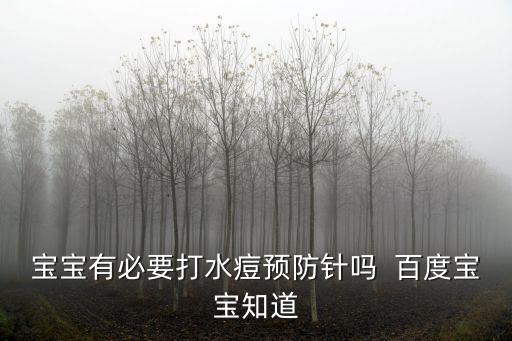 寶寶有必要打水痘預防針嗎  百度寶寶知道