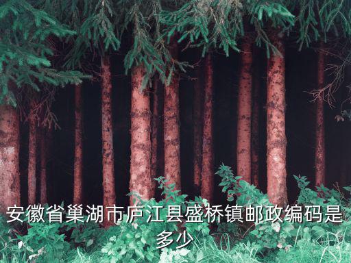 安徽省巢湖市廬江縣盛橋鎮(zhèn)郵政編碼是多少