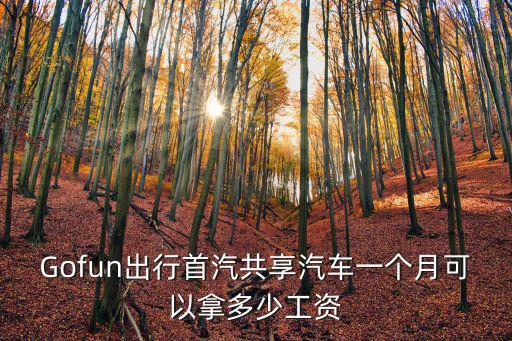 Gofun出行首汽共享汽車一個(gè)月可以拿多少工資