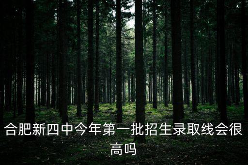 合肥新四中今年第一批招生錄取線會很高嗎