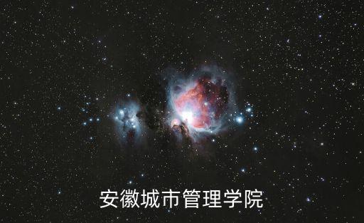 安徽城市管理學院
