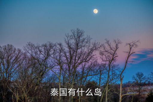 泰國有什么島