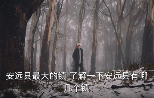 安遠縣最大的鎮 了解一下安遠縣有哪幾個鎮