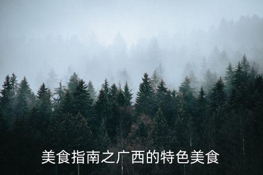 美食指南之廣西的特色美食