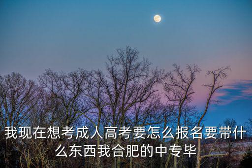 我現在想考成人高考要怎么報名要帶什么東西我合肥的中專畢