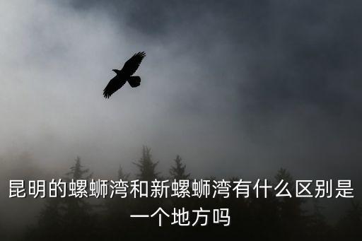 昆明的螺螄灣和新螺螄灣有什么區別是一個地方嗎