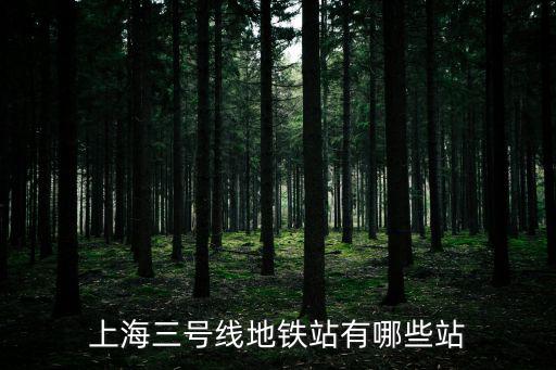 上海三號(hào)線地鐵站有哪些站