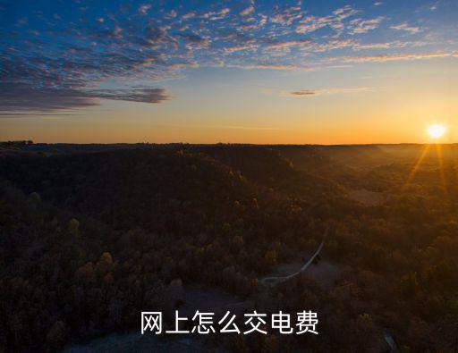 網(wǎng)上怎么交電費