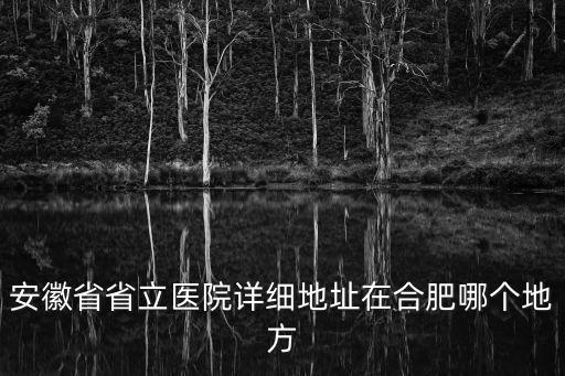 安徽省省立醫(yī)院詳細地址在合肥哪個地方