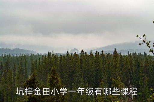 坑梓金田小學一年級有哪些課程