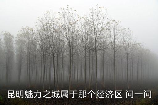 昆明魅力之城屬于那個經濟區 問一問