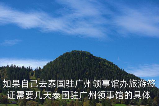 如果自己去泰國駐廣州領事館辦旅游簽證需要幾天泰國駐廣州領事館的具體