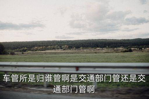 車管所是歸誰管啊是交通部門管還是交通部門管啊