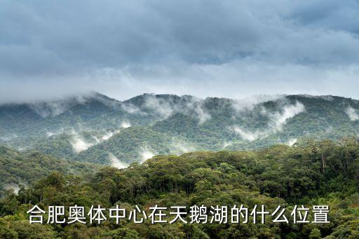 合肥奧體中心，合肥奧體中心在天鵝湖的什么位置