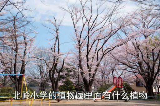植物園里有什么植物，什么的植物園里有什么的植物