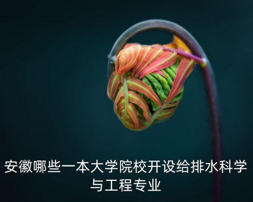 安徽一本大學(xué)排名，安徽省內(nèi)的一本和二本院校那幾所比較有名
