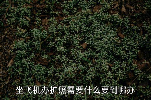 坐飛機辦護照需要什么要到哪辦