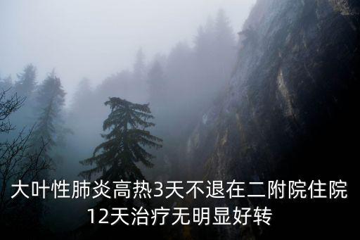 大葉性肺炎高熱3天不退在二附院住院12天治療無明顯好轉(zhuǎn)