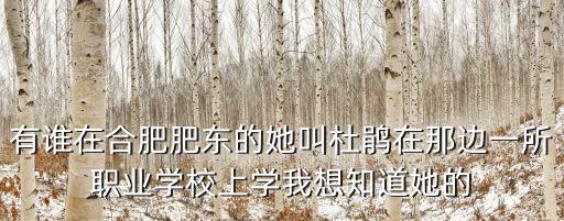 有誰在合肥肥東的她叫杜鵑在那邊一所職業學校上學我想知道她的