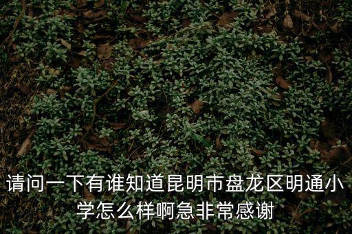 請問一下有誰知道昆明市盤龍區明通小學怎么樣啊急非常感謝