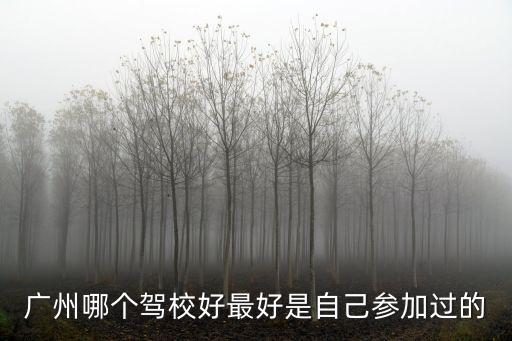 廣州哪個駕校好最好是自己參加過的