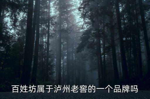 百姓坊屬于瀘州老窖的一個品牌嗎