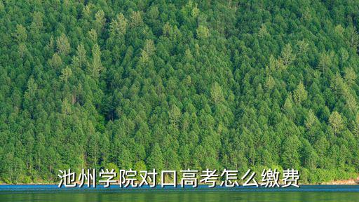 池州學(xué)院招生網(wǎng)，安徽考試招生網(wǎng)上查不到啊不過在池州學(xué)院招生網(wǎng)能查到怎么回事