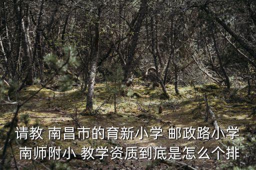 請教 南昌市的育新小學 郵政路小學 南師附小 教學資質到底是怎么個排