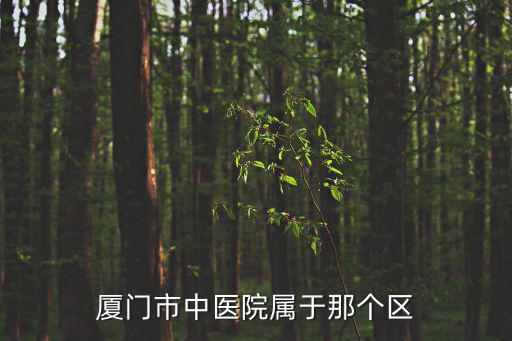 廈門市中醫院屬于那個區