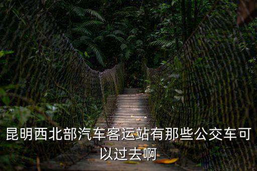 昆明西北部汽車客運站有那些公交車可以過去啊