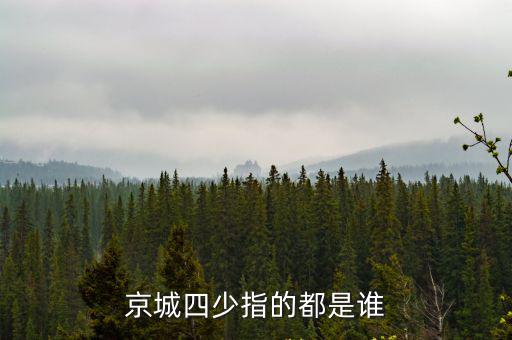 京城四少指的都是誰