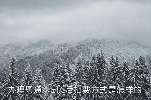 etc怎么扣費，我在途虎辦理了ETC卡是怎么扣費的是儲蓄卡扣費還是有電子帳戶