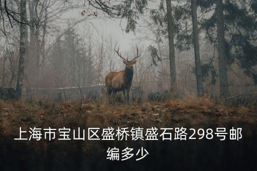 上海市寶山區盛橋鎮盛石路298號郵編多少