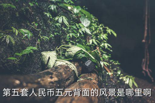 第五套人民幣五元背面的風景是哪里啊